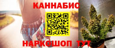 прущие крисы Нальчик