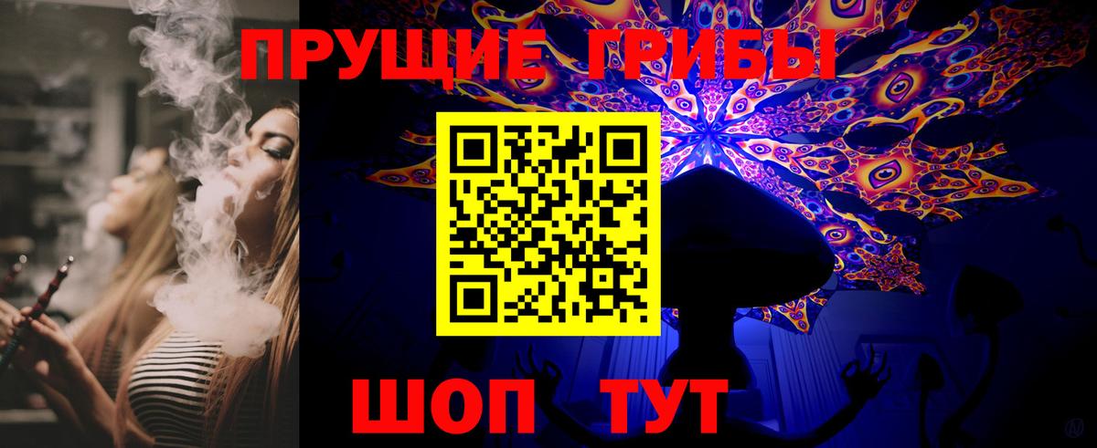 Фрязино  Галлюциногенные грибы Psilocybine cubensis  Вход с VPN 