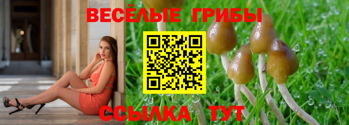 Псилоцибиновые грибы Magic Shrooms Фрязино